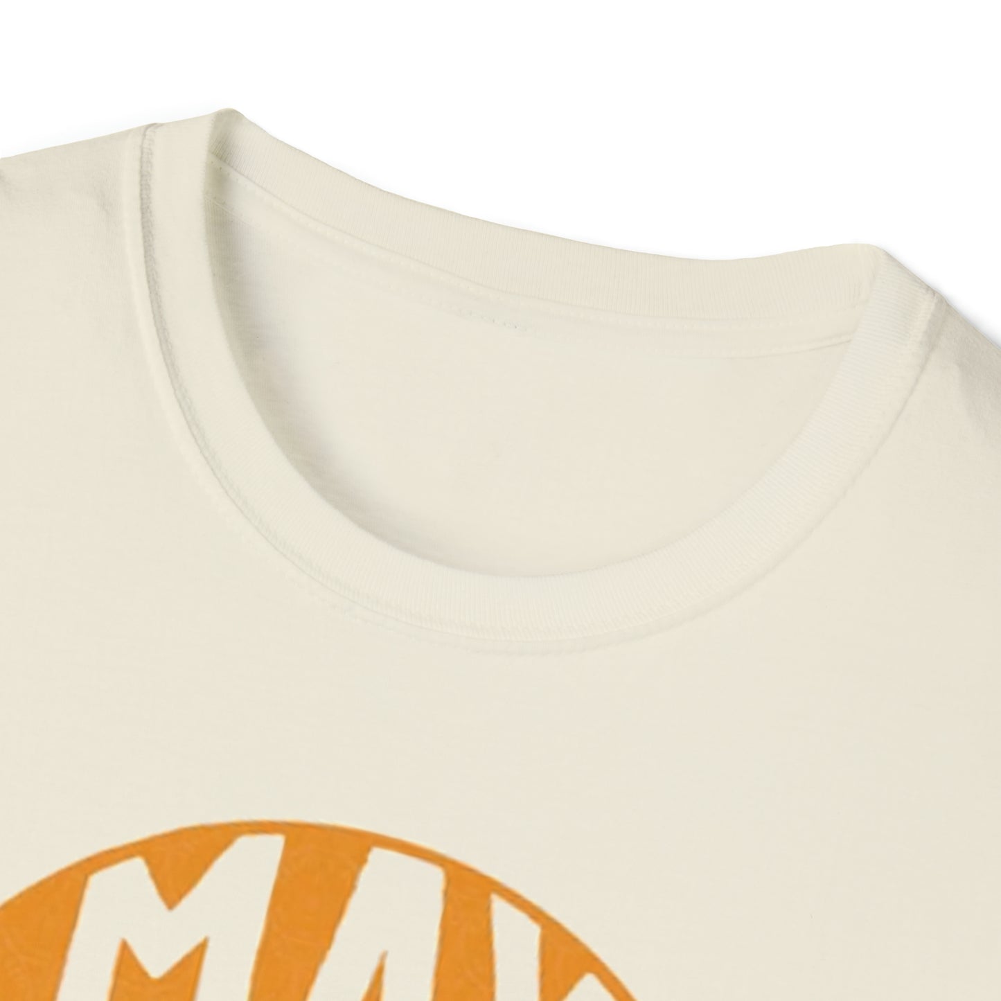 May Contain Whiskey Softstyle T-Shirt